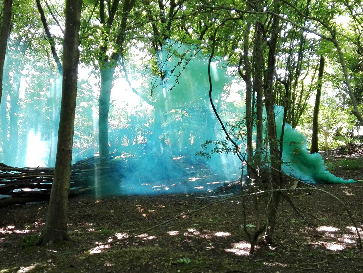 Forest fills with green smoke from a smoke grenade.
